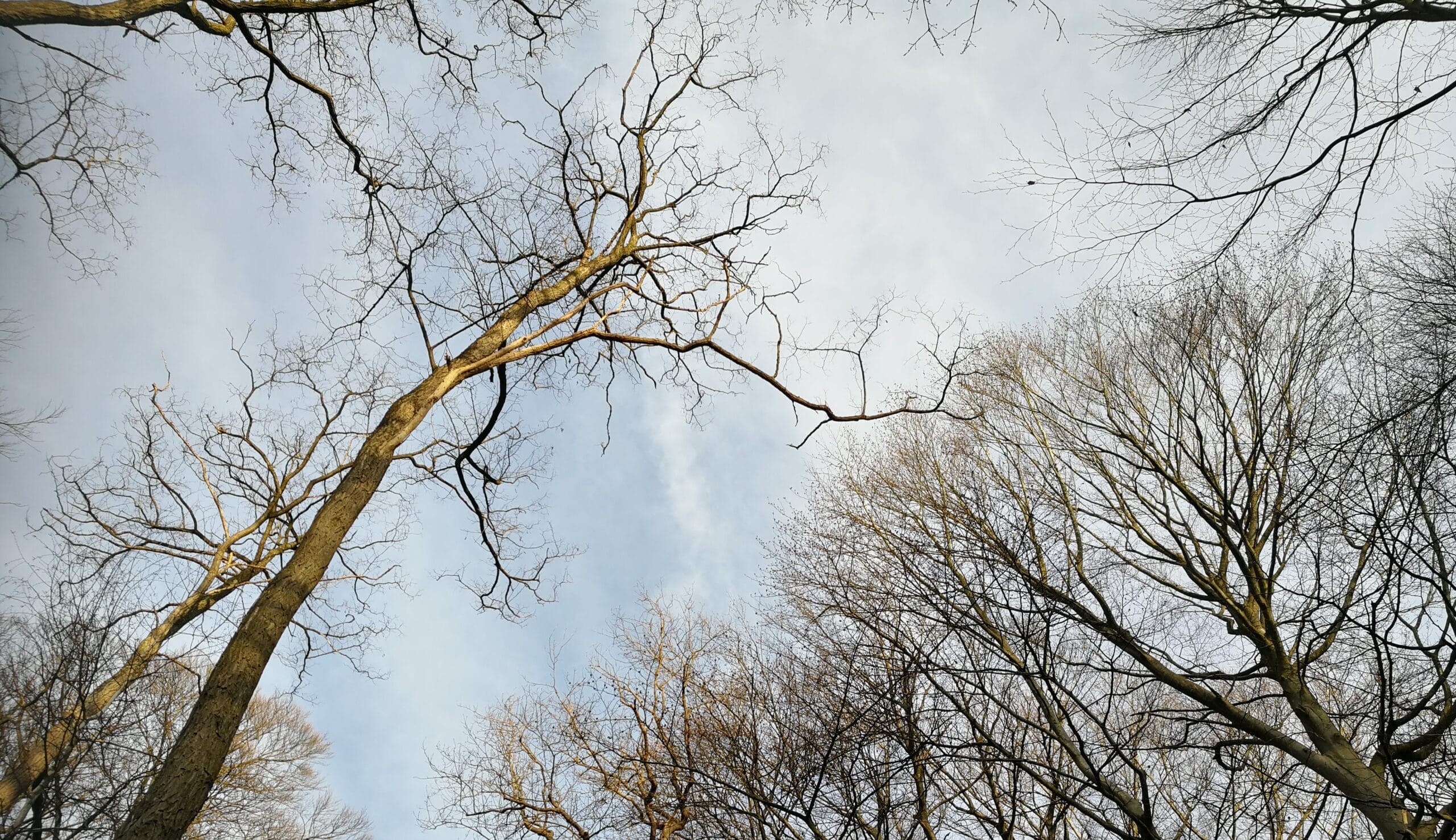 O Kritiek: Als het pijn blijft doen